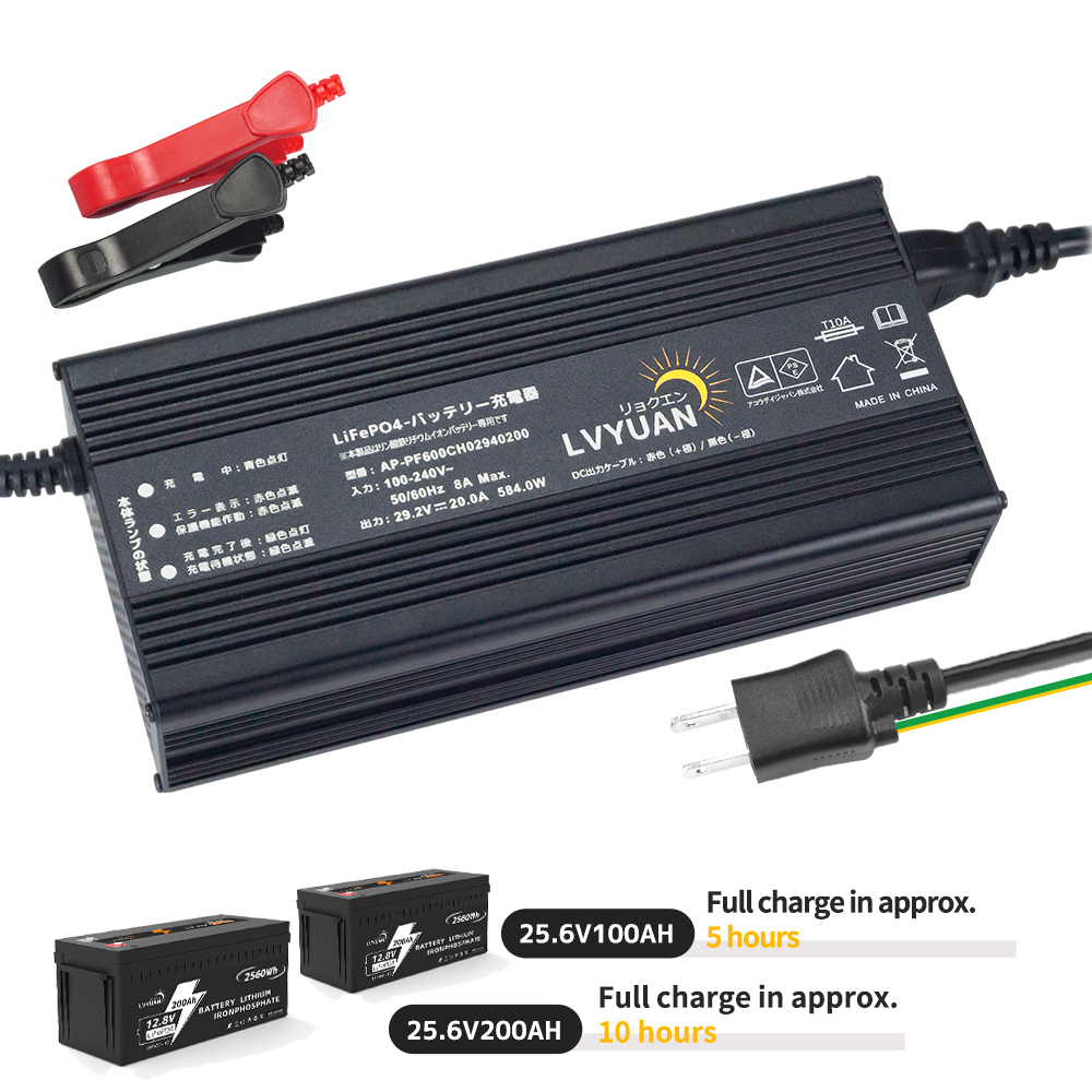 Lvyuan 500W 220V AC to DC 12V  - Lithium Battery 12V recension och pris