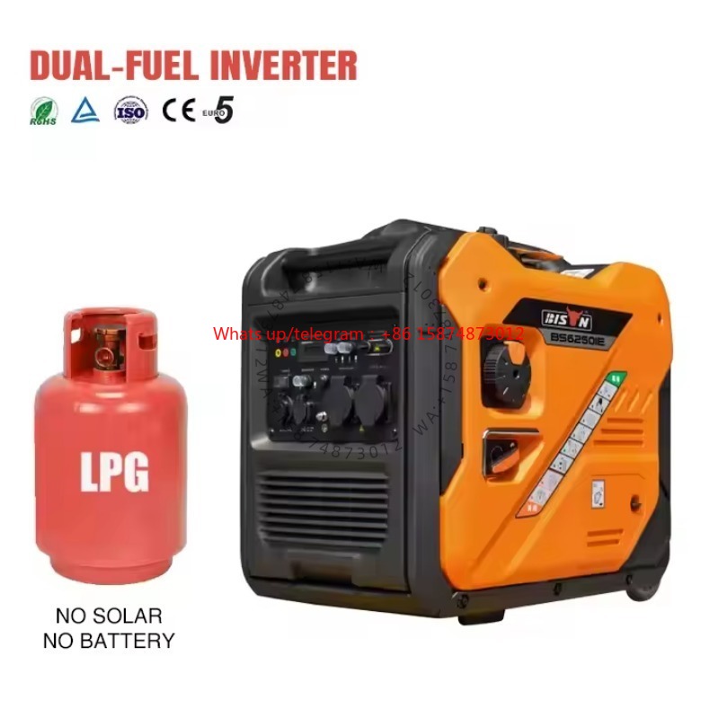 Dual Fuel 5000W 5kw 6.5kva Por - Power Inverter recension och pris